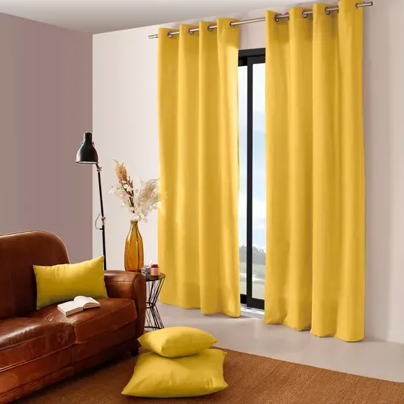 Lot  rideau + coussin