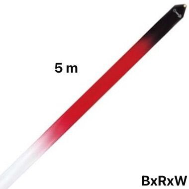 SASAKI FIG Gymnastic ribbon 5 m MJ-715HG (BxRxW)