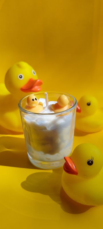 Mini Canards Vanille