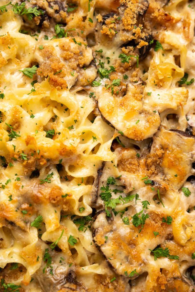 Dinner Tray-Mushroom Noodle Casserole (V)
