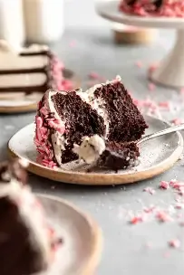 FreshX Bakery:: Chocolate Peppermint Bark Cake
