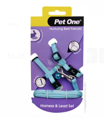 Leash &amp; Harness Rabbit Aqua
