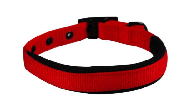 Yours Droolly Collar Foam Small Red