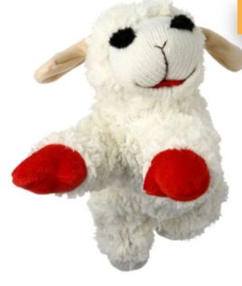 Lamb Chops 60cm