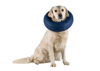 Protective Collar Inflatable S-M