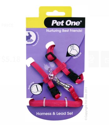 Leash &amp; Harness Rabbit Pink
