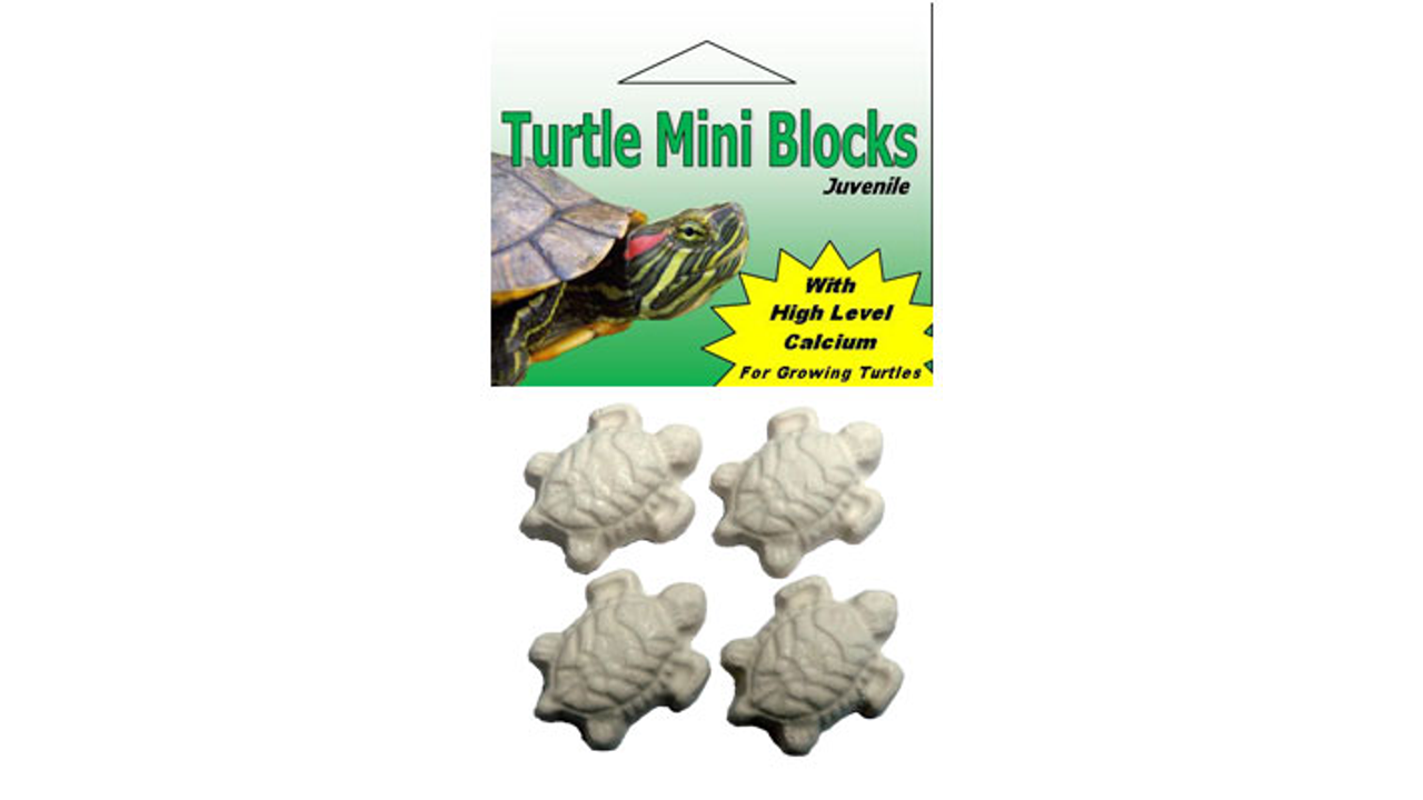 Turtle Mini Blocks 4pk