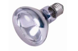 Trixie Basking Spot Lamp 75w