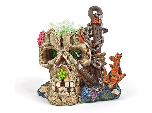 Ornament Skull &amp; Anchor W/Plant 19x19cm