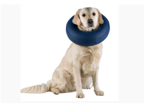 Inflatable Collar S