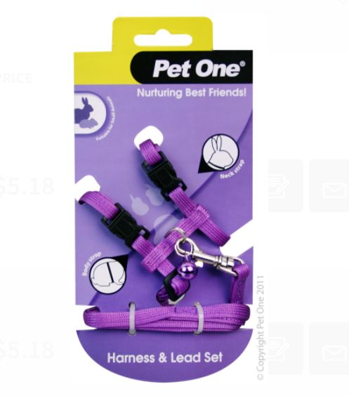 Leash &amp; Harness - Rabbit Purple