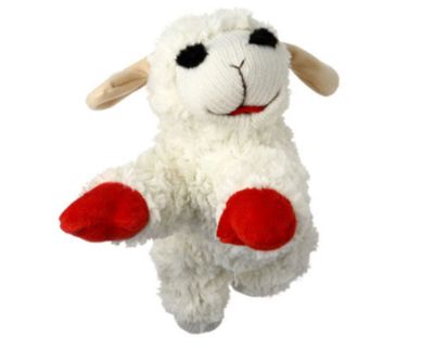Lamb Chops 25cm
