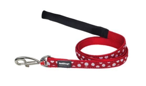 Red Dingo Lead - White Spots on Red, Size: 12mm x 1.2m