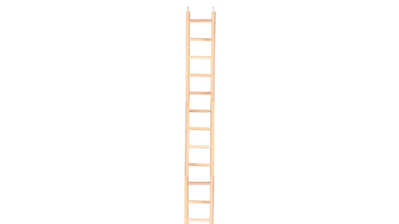 Brooklands Wooden Bird Ladder 12 Rung 60cm