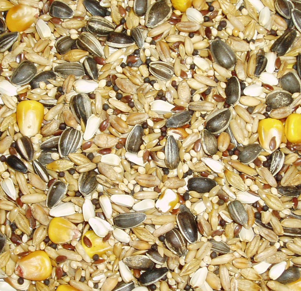 Topflite Parrot Mix 2kg