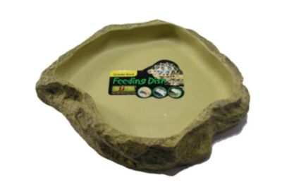 Exo Terra Large Feeding Dish