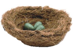 Coconut Nest Liner - Canary