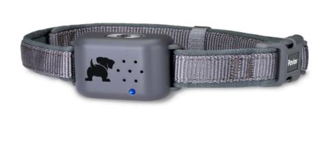 Pavlov Digital No Bark Collar, Size: small