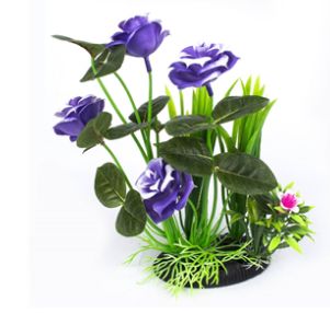 Floral Cluster 30cm Plant
