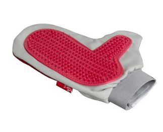 Grooming Glove