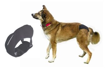 Trixie Protective Dog Pants, Size: XS