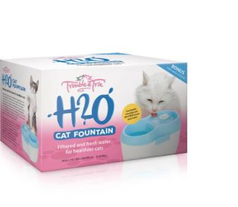 T &amp; T Cat Fountain H2O