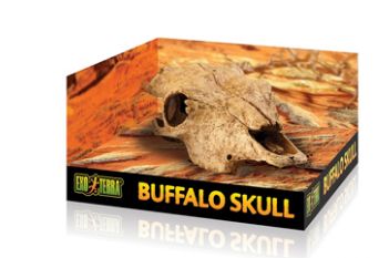 Exo Terra Decor - Buffalo Skull
