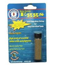 SF Bay Brine Shrimp Eggs 6g