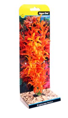 Brightscape Medium Ludwigia Orange