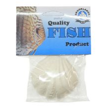 Oxy shell - Carded