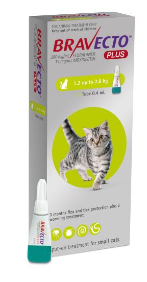 Bravecto PLUS Flea &amp; Worm for Cats, Size: Small