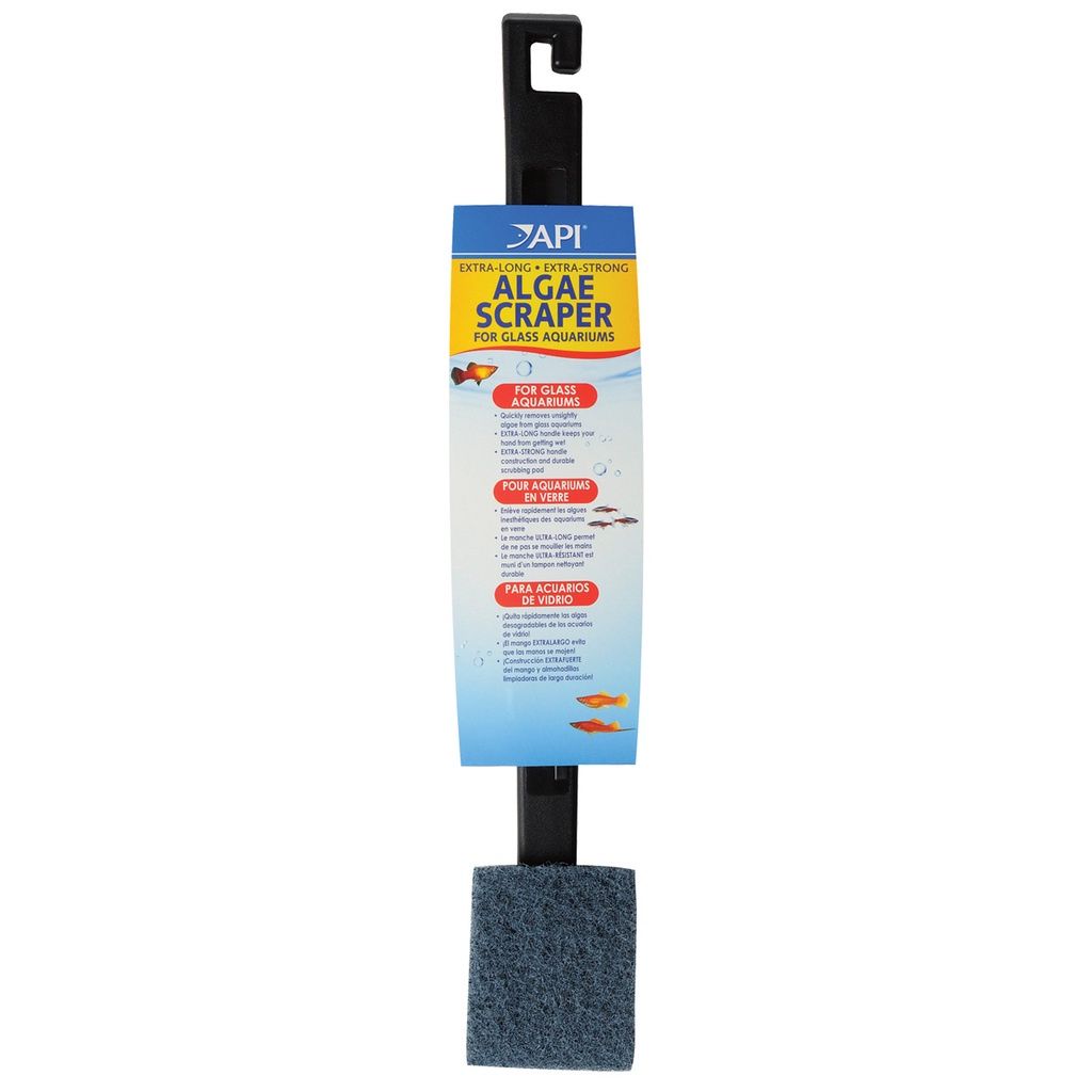 API Algae Scraper for Glass