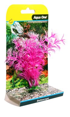 Bettascape Betta Ambulia Pink
