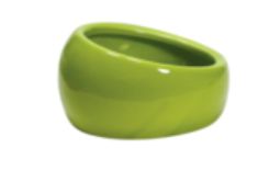 Ergonomic Dish Green Large