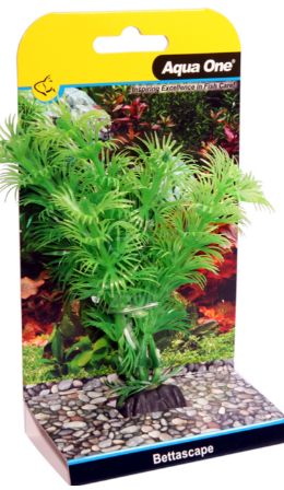 Bettascape Betta Ambulia Green