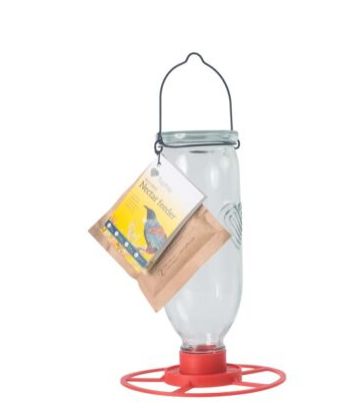 Nectar Feeder
