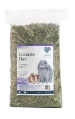 Lucerne Hay