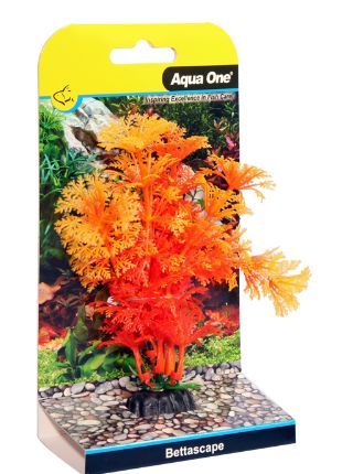 Bettascape Betta Ambulia Orange