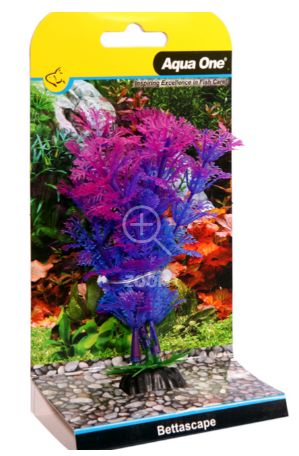 Bettascape Betta Ambulia Purple