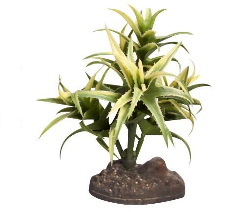 Reptile One Plant Sm Flexuosa Green With Ceramic Base