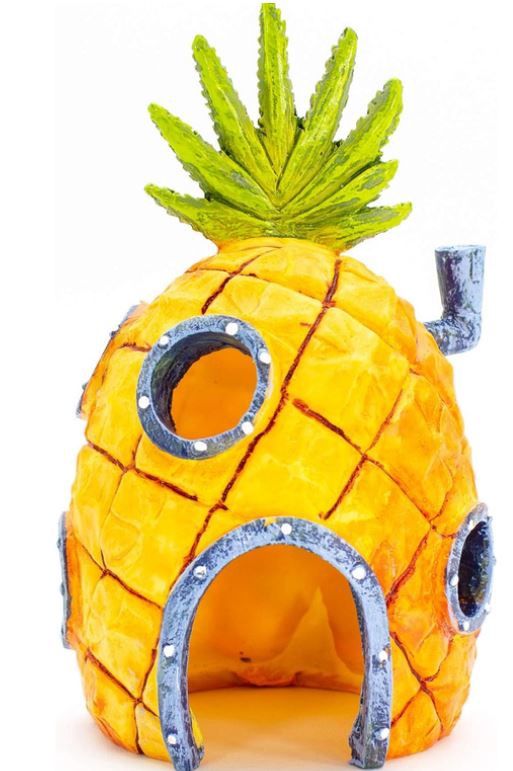Pineapple Home