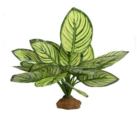 Reptile One Brandtianum With Resin Base 15x10x28cm