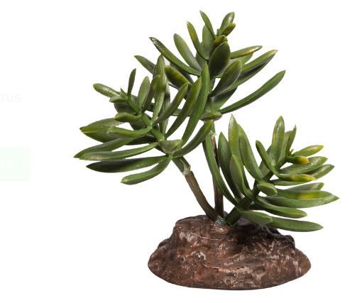 Reptile One Plant Mini Senecio Green With Ceramic Base