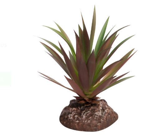 Reptile One Plant Mini Crassula Green Red With Ceramic Base