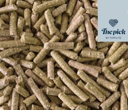 The Pick – Fibre Feast for Guinea Pigs - Betterpick Fibre Guinea Pig