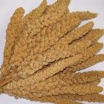 Topflite Millet Spray 10pk