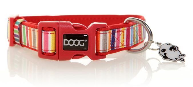 DOOG Neoprene Dog Collar New, Colour: Scooby, Size: S