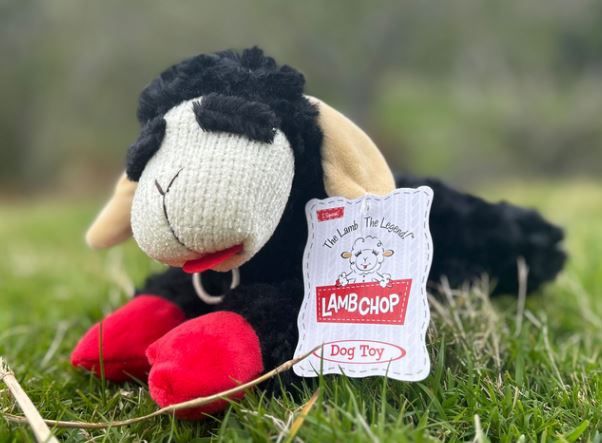 Lamb Chop Black 25cm