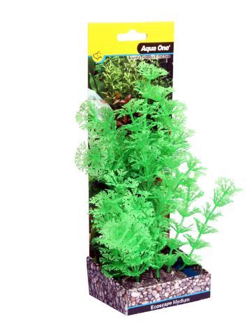 Ecoscape Medium Ambulia Green