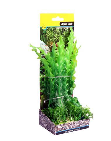 Ecoscape Medium Ruffled Lace Plant Green